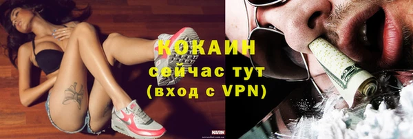дживик Нефтегорск