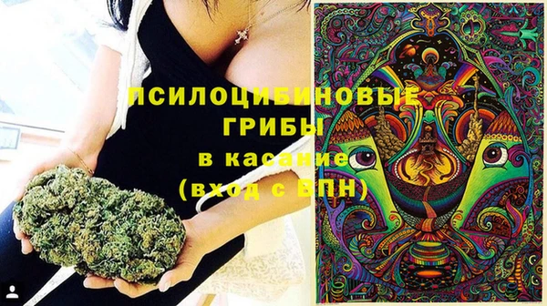 каннабис Нефтекумск