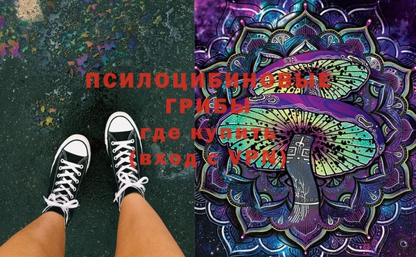 ГАЛЛЮЦИНОГЕННЫЕ ГРИБЫ Нея