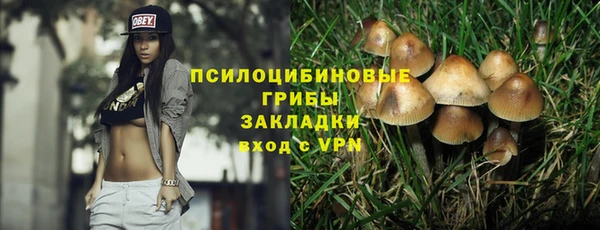дживик Нефтегорск
