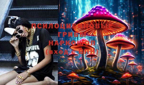 каннабис Нефтекумск