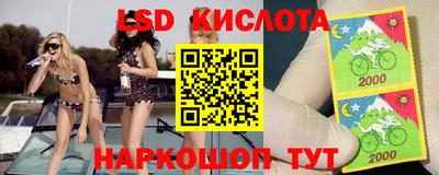 скорость Дубна