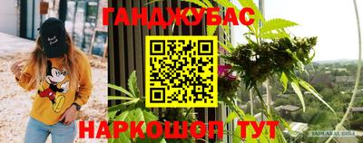 скорость Дубна
