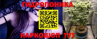 скорость Дубна