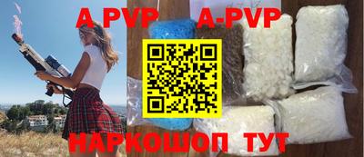 СК Кингисепп
