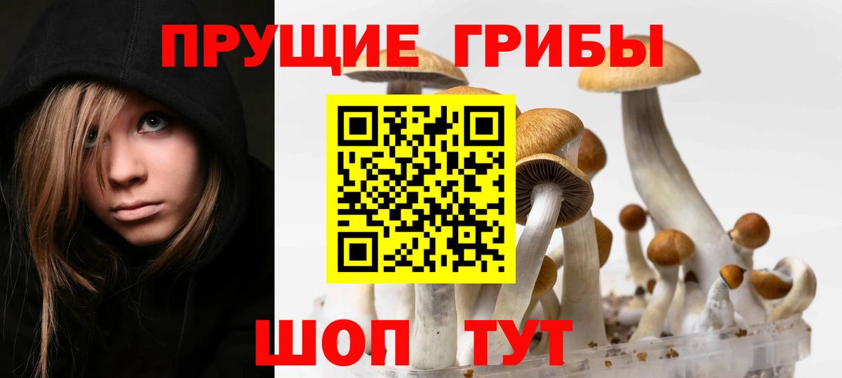 купить наркотик  Псилоцибиновые грибы Cubensis  Вход с VPN  Красноуфимск 